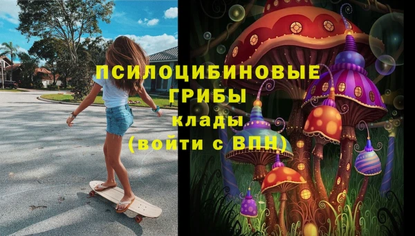 Альфа ПВП Алексеевка