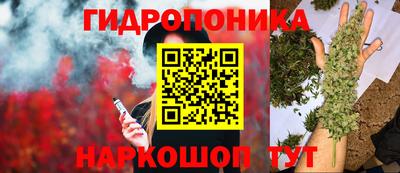 гидра Обь