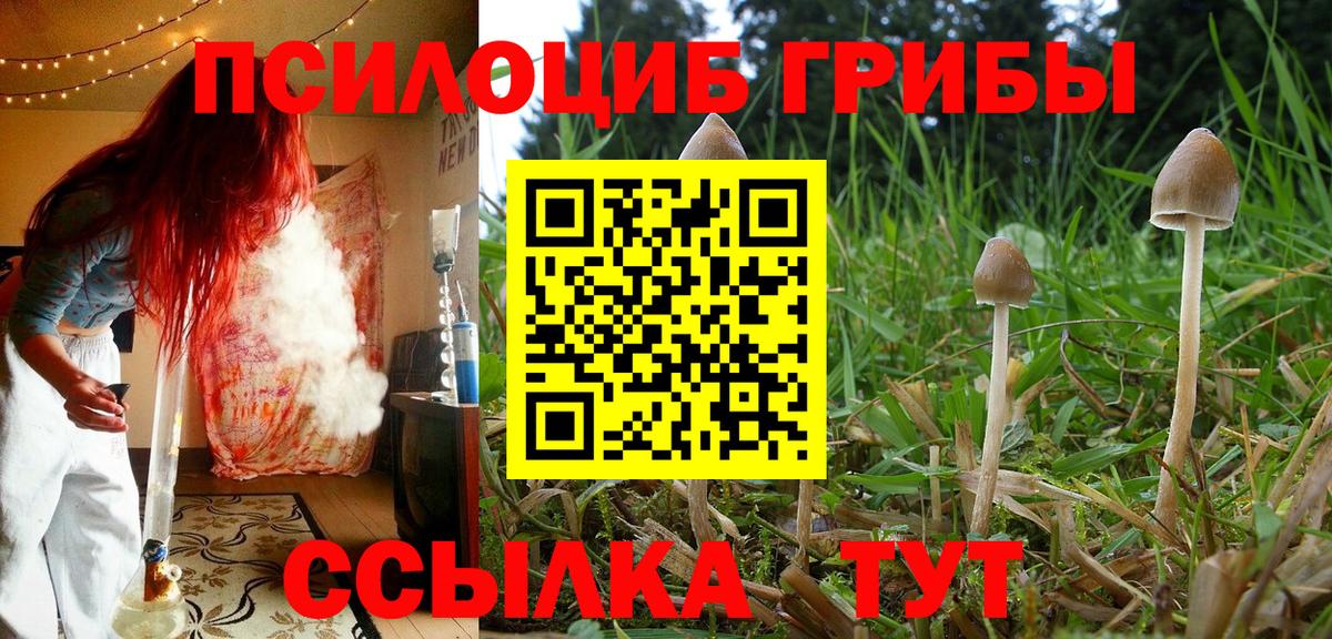 Галлюциногенные грибы Psilocybine cubensis Раменское