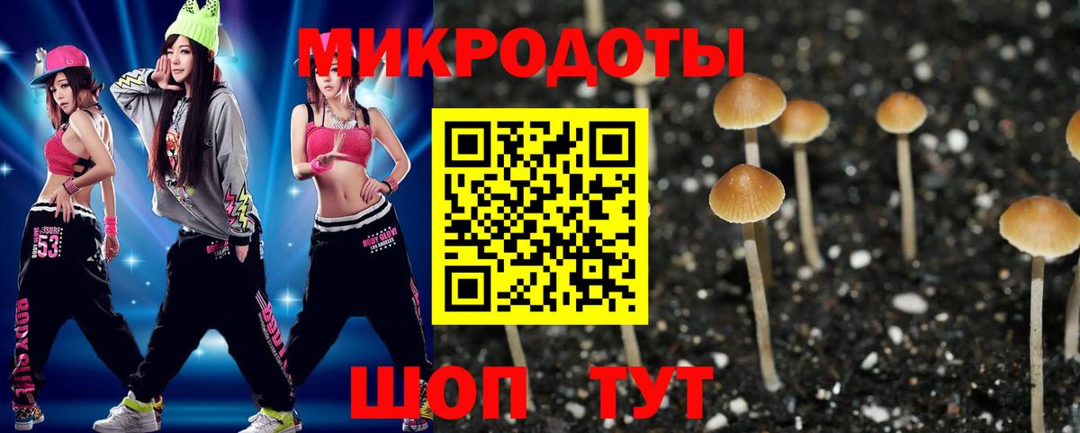 Псилоцибиновые грибы GOLDEN TEACHER  Вход с VPN  Раменское 